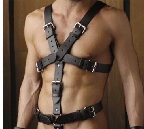 Mens male sexy chest - chest, harness